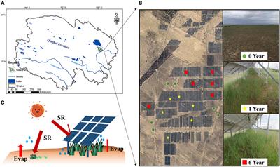 Solar park promoted microbial nitrogen and phosphorus cycle potentials but reduced soil prokaryotic diversity and network stability in alpine desert ecosystem